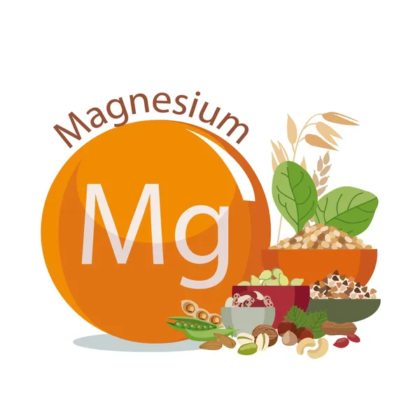 Magnesium in Quinoa Infografik zeigt Magnesiumgehalt in Quinoa mit 275mg pro 100g im Vergleich zu anderen Getreidesorten